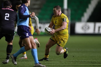160126 - Dragons v Newcastle Red Bulls - European Rugby Challenge Cup - Brodie Coghlan of Dragons 