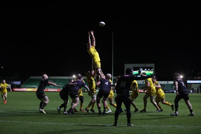 160126 - Dragons v Newcastle Red Bulls - European Rugby Challenge Cup - Ryan Woodman of Dragons wins the line out