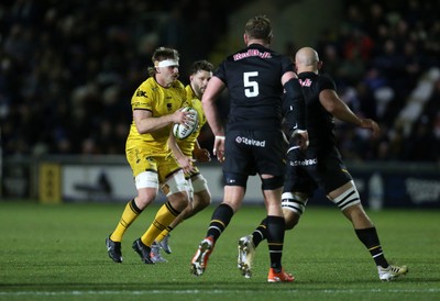 160126 - Dragons v Newcastle Red Bulls - European Rugby Challenge Cup - Aaron Wainwright of Dragons 