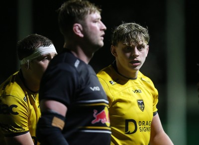 160126 - Dragons v Newcastle Red Bulls - European Rugby Challenge Cup - Ryan Woodman of Dragons 