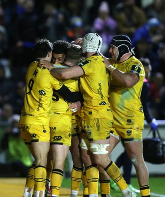 160126 - Dragons v Newcastle Red Bulls - European Rugby Challenge Cup - Rio Dyer of Dragons celebrates scoring a try with team mates
