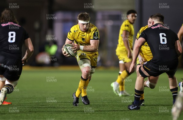 160126 - Dragons v Newcastle Red Bulls - European Rugby Challenge Cup - Aaron Wainwright of Dragons 