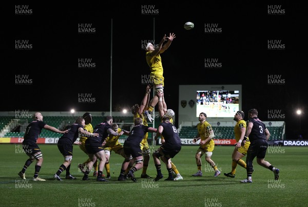 160126 - Dragons v Newcastle Red Bulls - European Rugby Challenge Cup - Ben Carter of Dragons wins the line out