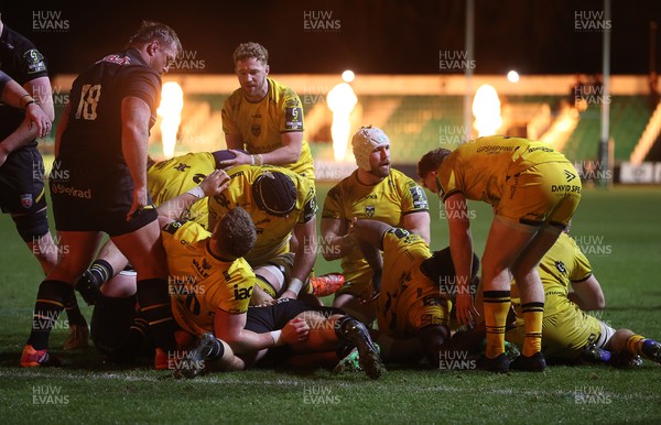 160126 - Dragons v Newcastle Red Bulls - European Rugby Challenge Cup - Dragons celebrate being awarded a penalty try