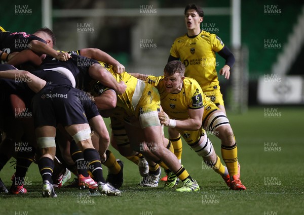 160126 - Dragons v Newcastle Red Bulls - European Rugby Challenge Cup - Shane Lewis-Hughes of Dragons 