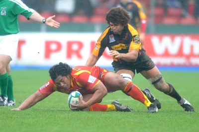 Dragons v Perpignan 190108