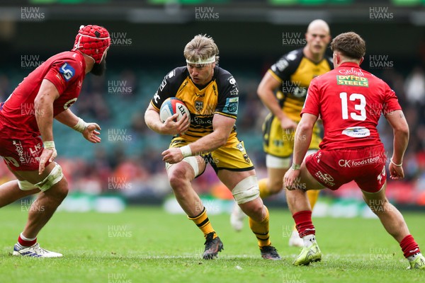 190425 - Dragons RFC v Scarlets - United Rugby Championship - Aaron Wainwright of Dragons on the charge