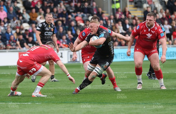 230422 - Dragons v Scarlets, United Rugby Championship - Ben Fry of Dragons takes on Steff Evans of Scarlets