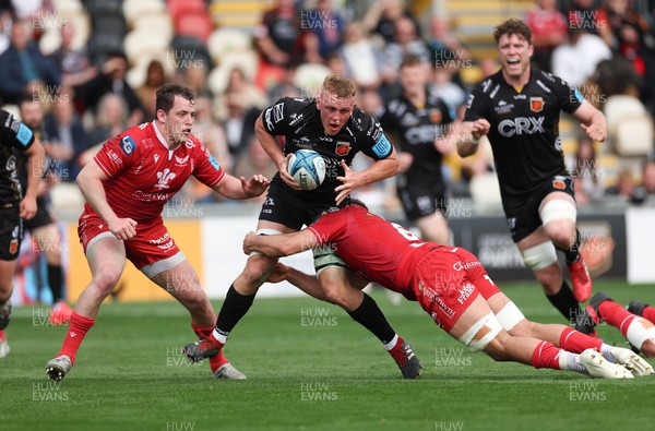 230422 - Dragons v Scarlets, United Rugby Championship - Ben Fry of Dragons takes on Javan Sebastian of Scarlets and Ryan Elias of Scarlets
