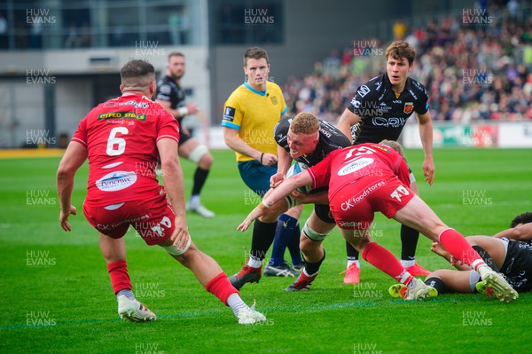 230422 - Dragons v Scarlets - United Rugby Championship - Ben Fry of Dragons is tackled by Angus O’Brien of Scarlets 
