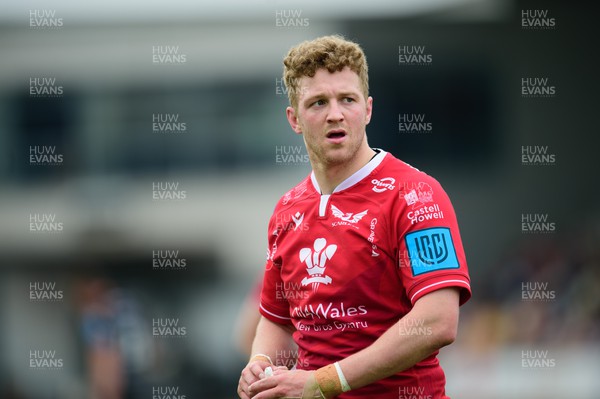 230422 - Dragons v Scarlets - United Rugby Championship - Angus O’Brien of Scarlets 