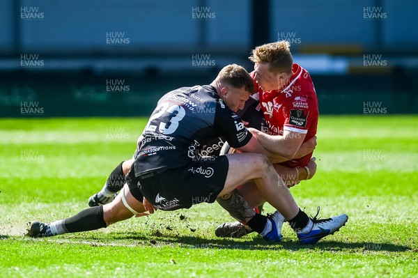 250421 Dragons v Scarlets, Guinness PRO14 Rainbow Cup - Sam Costelow of Scarlets tackled by Jack Dixon of Dragons