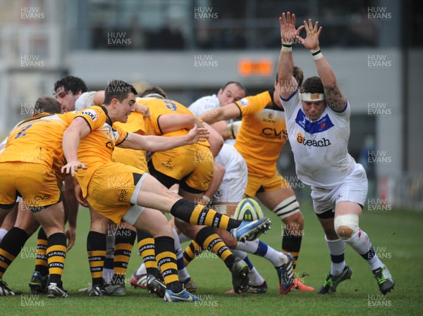 161113 - Newport Gwent Dragons v London Wasps - LV Cup -Jack Moates of London Wasps clears the ball from a ruck(c)Huw Evans Picture Agency