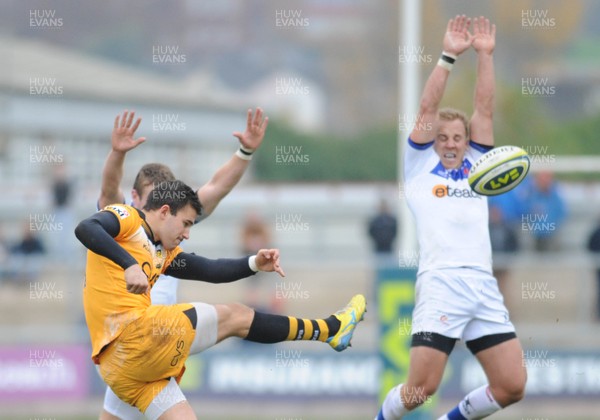 161113 - Newport Gwent Dragons v London Wasps - LV Cup -Janes Cannon of London Wasps  clears the ball(c)Huw Evans Picture Agency