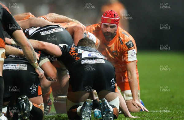 131219 - Dragons v Worcester Warriors, European Challenge Cup - Cory Hill of Dragons scrums down