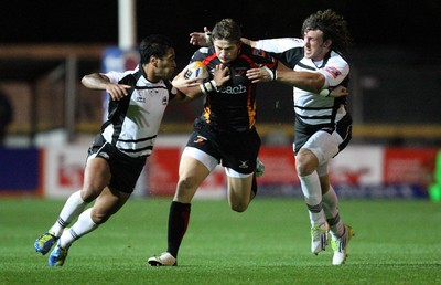 Dragons v Zebre 041013