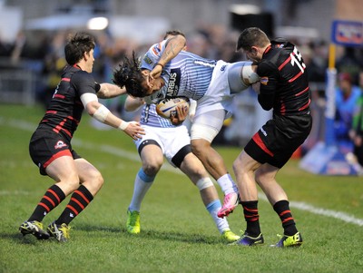 Edinburgh v Cardiff Blues 110414