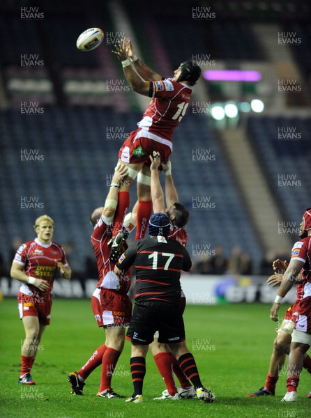 270913 Edinburgh v Scarlets…George Earle - Scarlets lock wins a line out