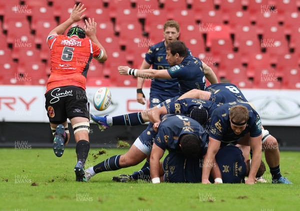 280326 - Fidelity SecureDrive Lions v Dragons RFC, United Rugby Championship - Rhodri Williams of Dragons RFC kicks clear