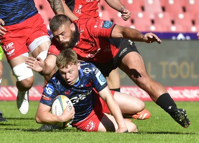 Emirates Lions v Scarlets 110525