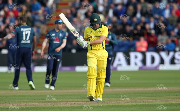 160618 - England v Australia - Royal London ODI Series - Tim Paine of Australia walks off the field after being caught by Adil Rashid