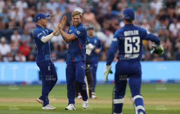 080923 - England v New Zealand, Metro Bank ODI Series - David Willey of England celebrates after taking the wicket of Henry Nicholls of New Zealand
