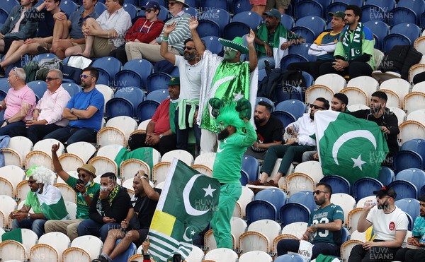 080721 - England v Pakistan - Royal London ODI - Pakistan fans in the stands