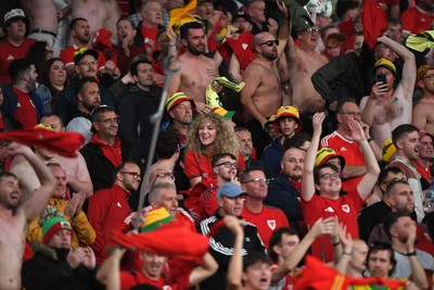 091025 - England v Wales - International Friendly - Wales Fans