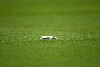 091025 - England v Wales - International Friendly - A paper plane on the pitch