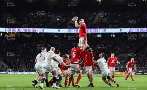 100224 - England v Wales, Guinness 6 Nations 2024 - Aaron Wainwright of Wales wins the line out to set up the opening try