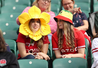 120823 - England v Wales - Summer Nations Series - Wales fans