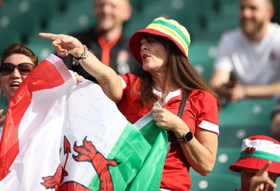 120823 - England v Wales - Summer Nations Series - Wales fans