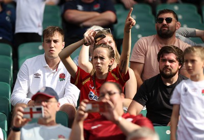 120823 - England v Wales - Summer Nations Series - Wales fans