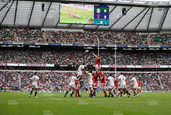 120823 - England v Wales - Summer Nations Series - Adam Beard of Wales wins the line out