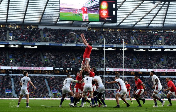 260222 - England v Wales - Guinness Six Nations 2022 - Adam Beard of Wales takes line out ball