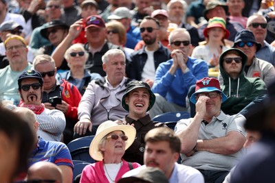 010625 - England v West Indies - 2nd ODI at Sophia Gardens - Fans watching the game