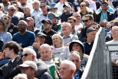 010625 - England v West Indies - 2nd ODI at Sophia Gardens - Fans watching the game