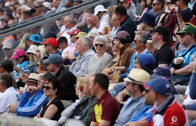 010625 - England v West Indies - 2nd ODI at Sophia Gardens - Fans watching the game