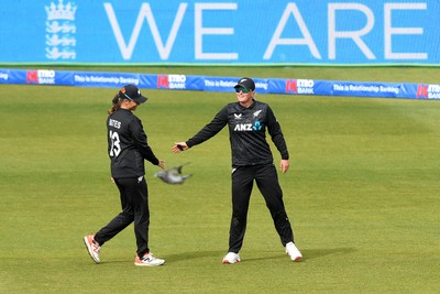 160526 - England Women v New Zealand Women - Metro Bank One Day International - Izzy Sharp of New Zealand Women catches the ball to dismiss Amy Jones of England Women