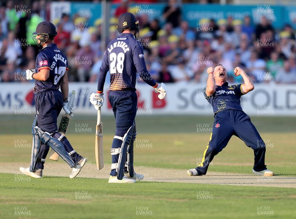 130718 - Essex v Glamorgan - Vitality T20 Blast -  David Lloyd of Glamorgan celebrates taking the wicket of Ryan Ten Doeschate 