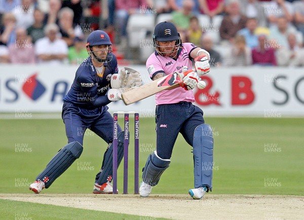 100616 - Essex Eagles vs Middlesex - NatWest T20 Blast - Brendan McCulloch of Middlesex is caught off the bowling of Graham Napier