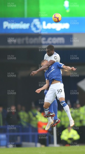 241118 - Everton v Cardiff City - Premier League -  Richarlison of Everton and Sol Bamba of Cardiff clash in the air for an injury to the Everton player