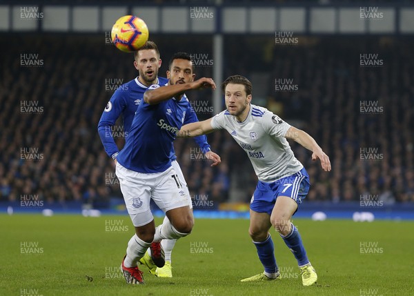 241118 - Everton v Cardiff City - Premier League -  Harry Arter of Cardiff and Theo Walcott of Everton