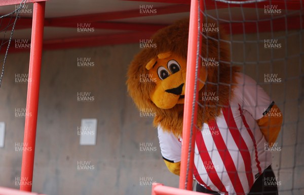 200719 - Exeter City v Swansea City - Pre Season Friendly - Exeter City mascot pokes his head out from behind the bars at St James Park