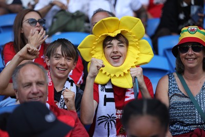 040726 - Fiji v Wales - Nations Championship - Wales fans before the game