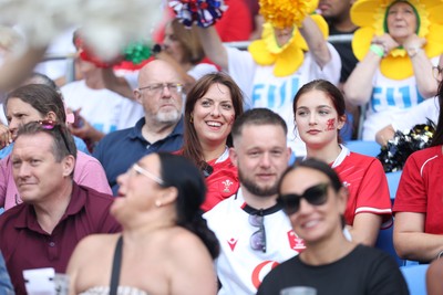 040726 - Fiji v Wales - Nations Championship - Wales fans before the game