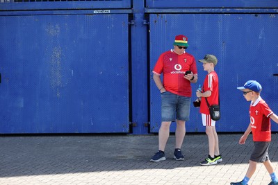 040726 - Fiji v Wales - Nations Championship - Fans