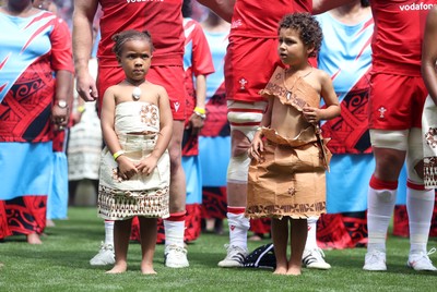 040726 - Fiji v Wales - Nations Championship - Mascots