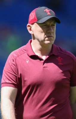 040726 - Fiji v Wales, Nations Championship - Wales head coach Steve Tandy ahead of the match