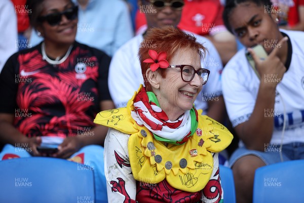 040726 - Fiji v Wales - Nations Championship - Wales fans before the game